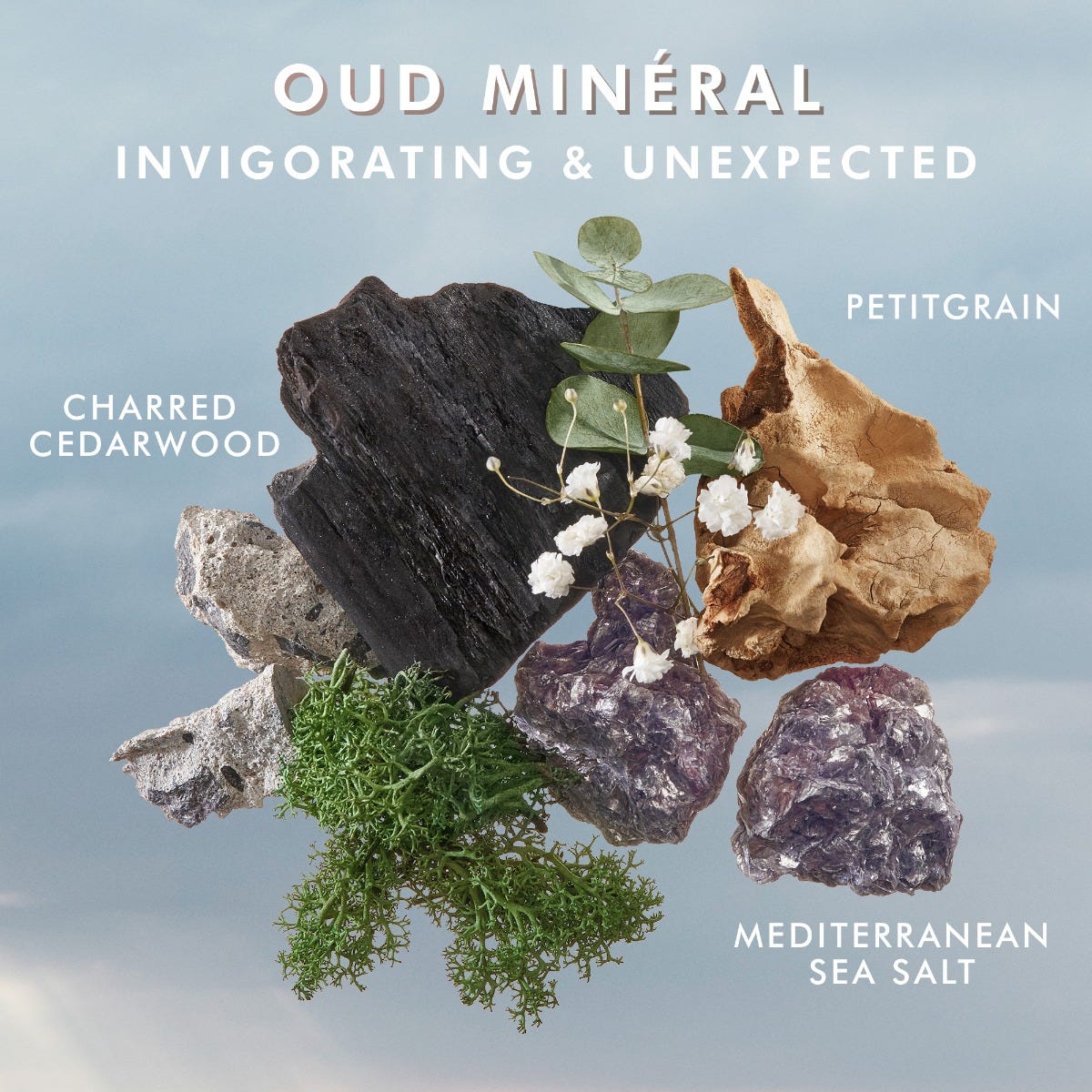 סבון נוזלי לידיים Oud Mineral - גודל 360 מ''ל 