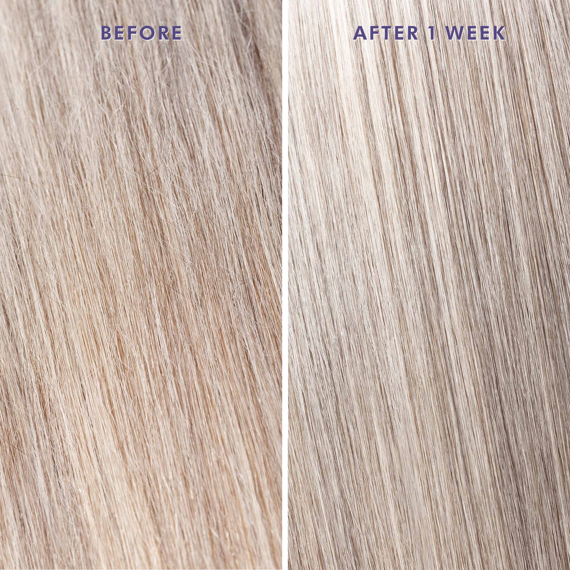 מראה של שיער אפור לפני ואחרי טיפול של שבוע בשמן סגול