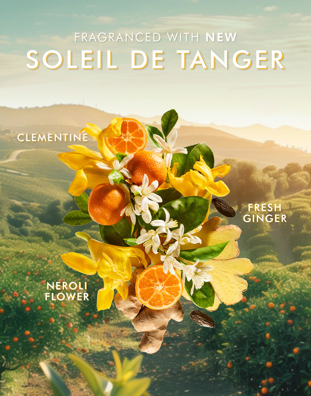 ג'ל רחצה Soleil de Tanger 