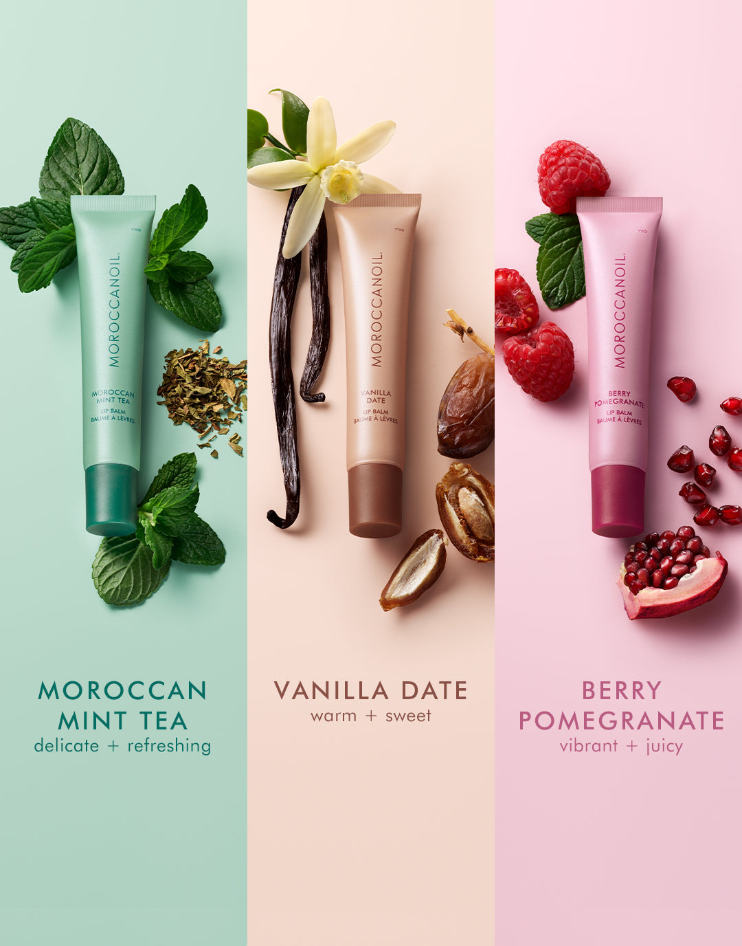 מארז ליפ באלם של MOROCCANOIL