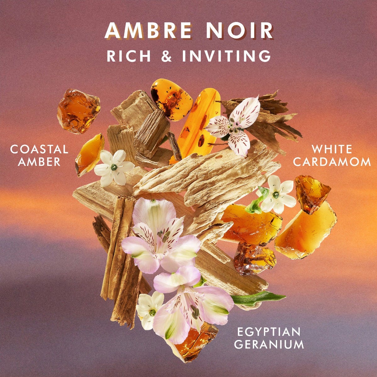  קרם גוף Ambre Noir - גודל 360 מ''ל