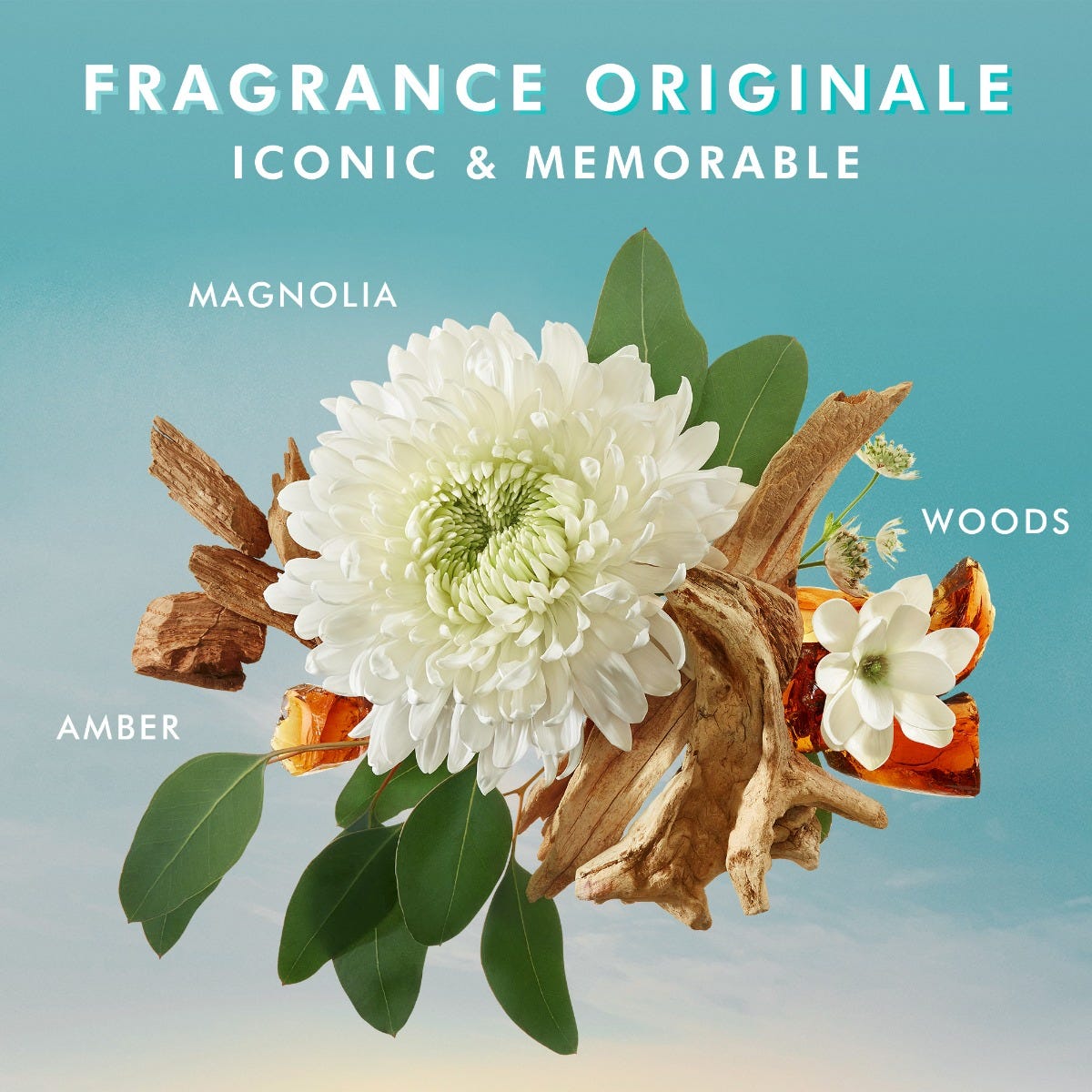  קרם גוף Fragrance Originale - גודל 360 מ''ל 