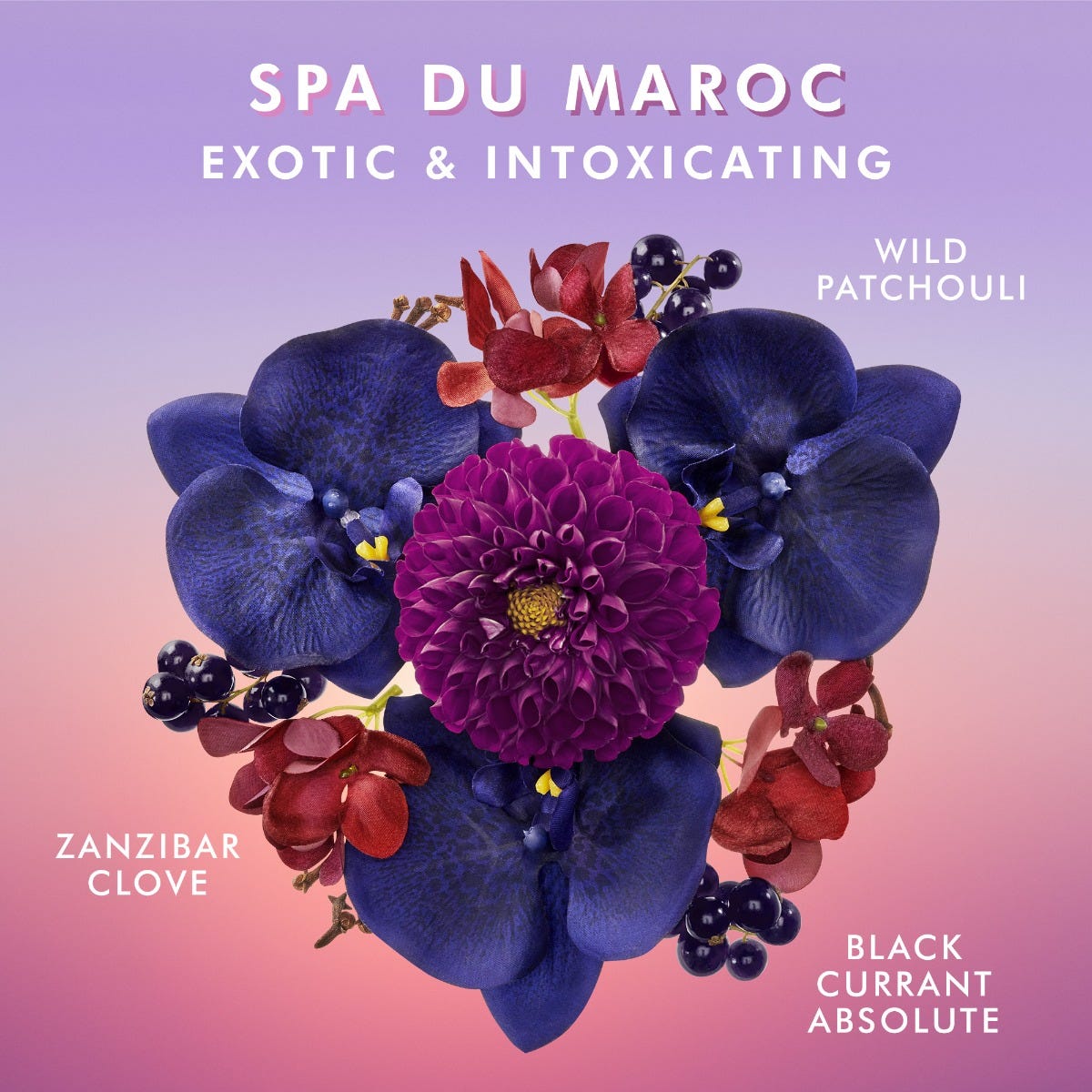 קרם גוף Spa Du Maroc - גודל 360 מ''ל 